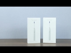 SN302  Adult Sonic Electric Toothbrush