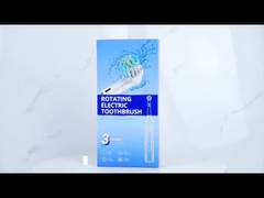 BX11  Sonic Rotate Electric Toothbrush