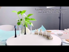 electric toothbrush head for Philips