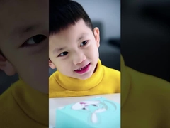 SN201 Sonic Electric Toothbrush